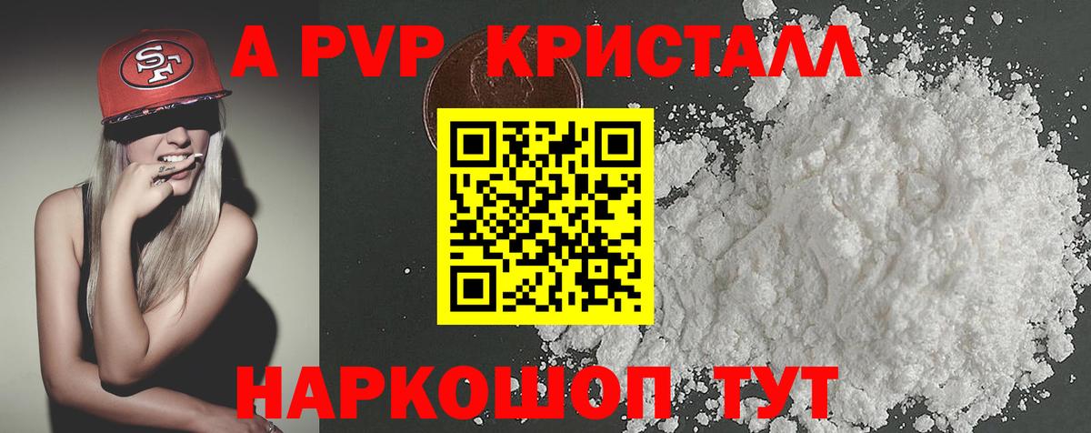 Альфа ПВП СК КРИС Светлоград
