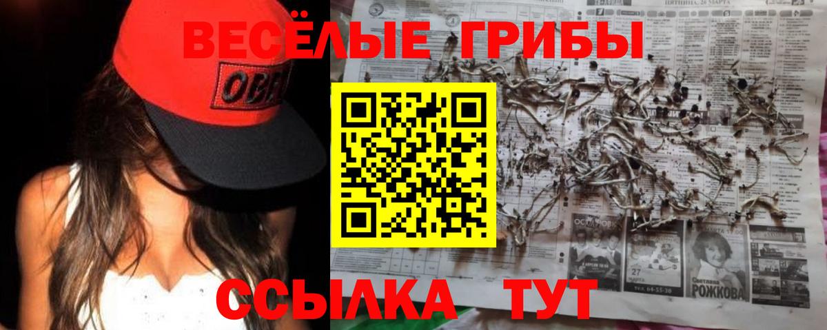 Светлоград  Галлюциногенные грибы Cubensis  Вход с VPN 
